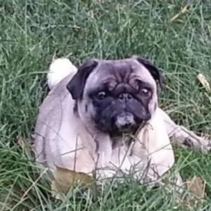 Meet your Posher, Debra